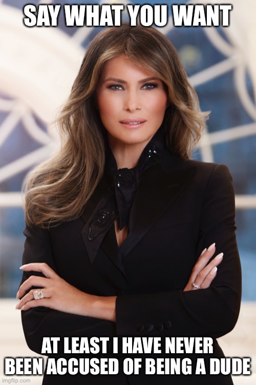 Melania Trump |  SAY WHAT YOU WANT; AT LEAST I HAVE NEVER BEEN ACCUSED OF BEING A DUDE | image tagged in melania trump | made w/ Imgflip meme maker