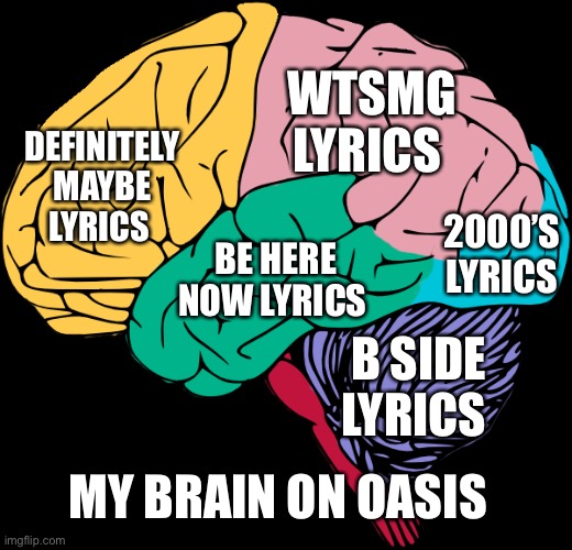 Brain Sections | WTSMG LYRICS; DEFINITELY MAYBE LYRICS; 2000’S LYRICS; BE HERE NOW LYRICS; B SIDE LYRICS; MY BRAIN ON OASIS | image tagged in brain sections,oasis | made w/ Imgflip meme maker