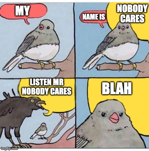 annoyed bird | NOBODY CARES; MY; NAME IS; LISTEN MR NOBODY CARES; BLAH | image tagged in annoyed bird | made w/ Imgflip meme maker