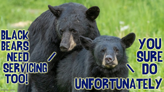 BLACK       
BEARS       
NEED     
SERVICING
TOO! YOU
SURE
DO / \ UNFORTUNATELY | made w/ Imgflip meme maker