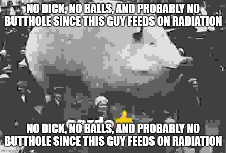 No dick, no balls, and probably no butthole since this guy feeds on radiation | NO DICK, NO BALLS, AND PROBABLY NO BUTTHOLE SINCE THIS GUY FEEDS ON RADIATION; NO DICK, NO BALLS, AND PROBABLY NO BUTTHOLE SINCE THIS GUY FEEDS ON RADIATION | image tagged in cerdo | made w/ Imgflip meme maker