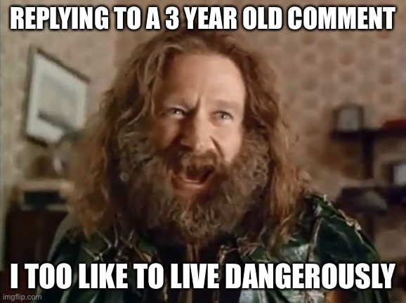 What Year Is It Meme | REPLYING TO A 3 YEAR OLD COMMENT I TOO LIKE TO LIVE DANGEROUSLY | image tagged in memes,what year is it | made w/ Imgflip meme maker