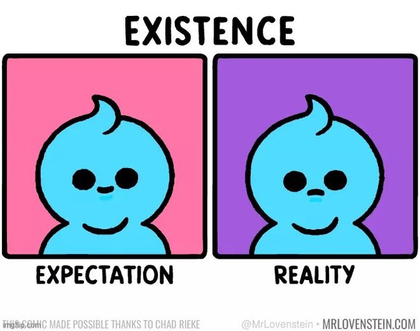 true story | image tagged in comics/cartoons,expectation vs reality,existence | made w/ Imgflip meme maker
