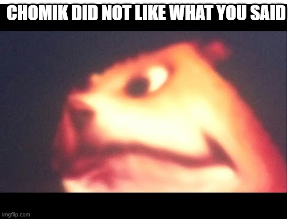 angry | CHOMIK DID NOT LIKE WHAT YOU SAID | image tagged in blank white template,memes,chomik | made w/ Imgflip meme maker
