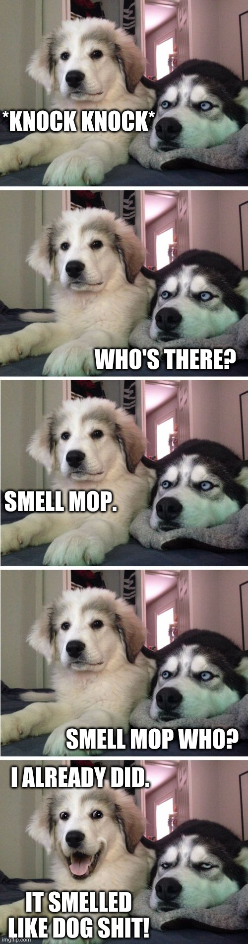 Ba-dum *tss* | *KNOCK KNOCK*; WHO'S THERE? SMELL MOP. SMELL MOP WHO? I ALREADY DID. IT SMELLED LIKE DOG SHIT! | image tagged in knock knock dogs | made w/ Imgflip meme maker