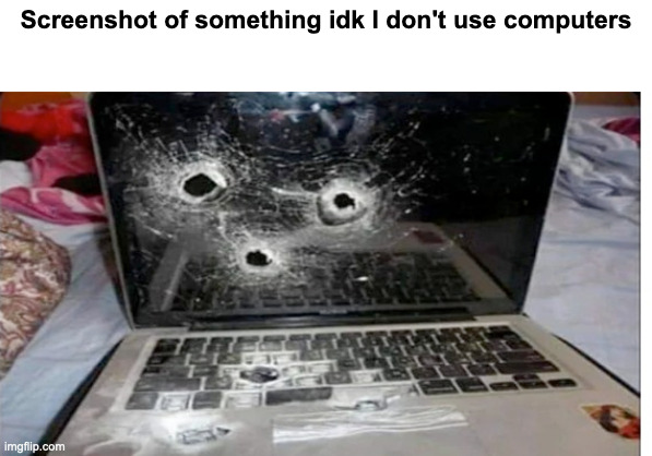 Screenshot of something idk I don't use computers | made w/ Imgflip meme maker