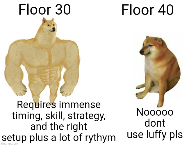 Buff Doge vs. Cheems | Floor 30; Floor 40; Nooooo dont use luffy pls; Requires immense timing, skill, strategy, and the right setup plus a lot of rythym | image tagged in memes,buff doge vs cheems | made w/ Imgflip meme maker