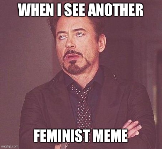 Bruh | WHEN I SEE ANOTHER; FEMINIST MEME | image tagged in tony stark,feminist,why,eyeroll | made w/ Imgflip meme maker