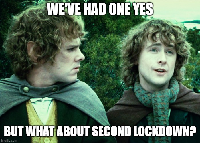 We've had one yes... | WE'VE HAD ONE YES; BUT WHAT ABOUT SECOND LOCKDOWN? | image tagged in we've had one yes | made w/ Imgflip meme maker