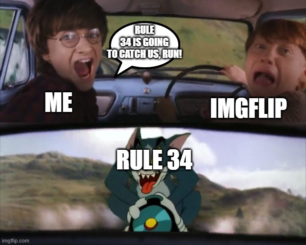 rule 34 is coming ToT | RULE 34 IS GOING TO CATCH US, RUN! ME; IMGFLIP; RULE 34 | image tagged in tom chasing harry and ron weasly,rule 34 | made w/ Imgflip meme maker