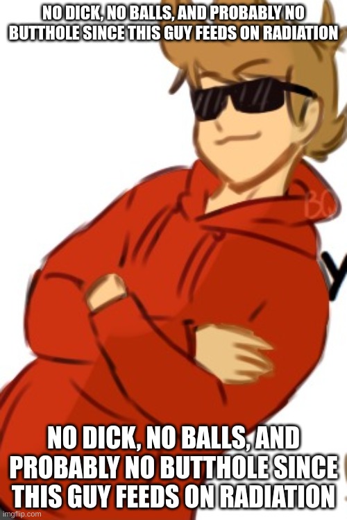 Tord | NO DICK, NO BALLS, AND PROBABLY NO BUTTHOLE SINCE THIS GUY FEEDS ON RADIATION; NO DICK, NO BALLS, AND PROBABLY NO BUTTHOLE SINCE THIS GUY FEEDS ON RADIATION | image tagged in tord | made w/ Imgflip meme maker