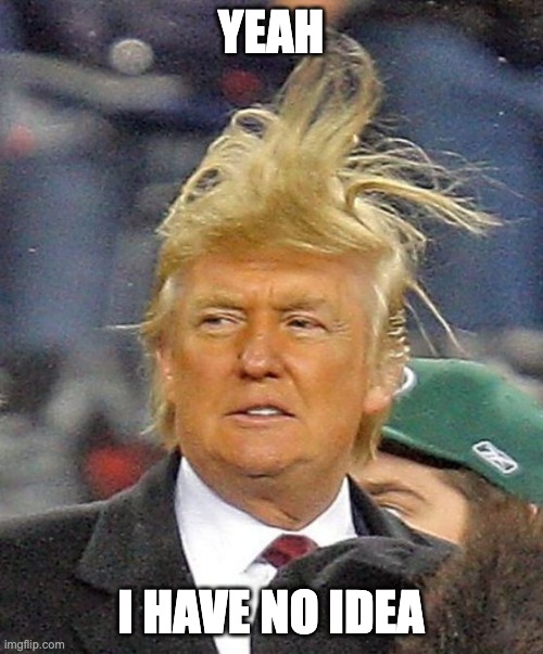 Donald Trumph hair | YEAH I HAVE NO IDEA | image tagged in donald trumph hair | made w/ Imgflip meme maker