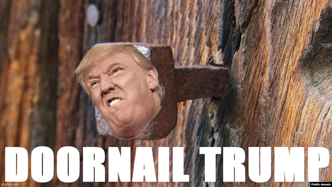 Doornail | DOORNAIL TRUMP | image tagged in doornail | made w/ Imgflip meme maker