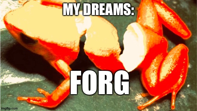 Forg | MY DREAMS: | image tagged in forg | made w/ Imgflip meme maker