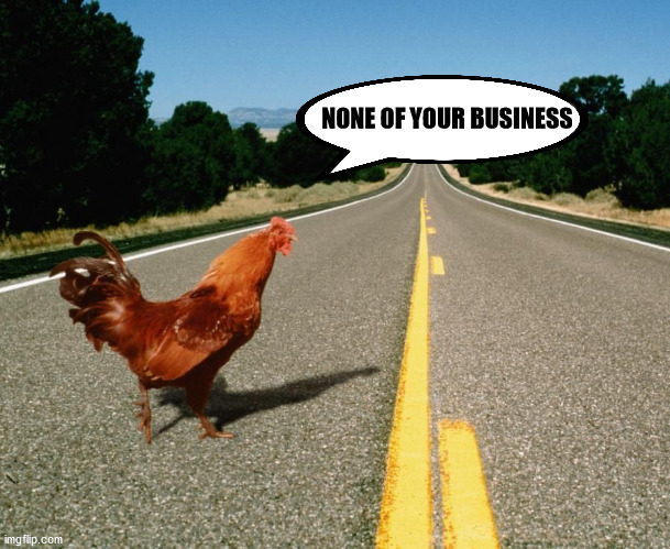 Chicken crossing the road | NONE OF YOUR BUSINESS | image tagged in chicken,chicken crossing the road | made w/ Imgflip meme maker