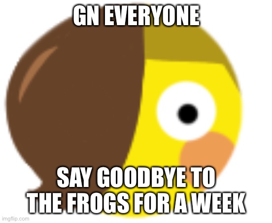 :Ceraflushed: | GN EVERYONE; SAY GOODBYE TO THE FROGS FOR A WEEK | image tagged in ceraflushed | made w/ Imgflip meme maker