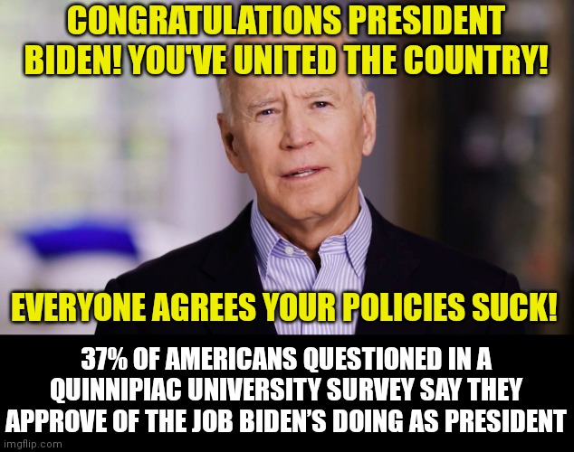 Biden has hit a new low....his approval rating I mean! | CONGRATULATIONS PRESIDENT BIDEN! YOU'VE UNITED THE COUNTRY! EVERYONE AGREES YOUR POLICIES SUCK! 37% OF AMERICANS QUESTIONED IN A QUINNIPIAC UNIVERSITY SURVEY SAY THEY APPROVE OF THE JOB BIDEN’S DOING AS PRESIDENT | image tagged in joe biden 2020,disapproval,task failed successfully,liberal logic | made w/ Imgflip meme maker
