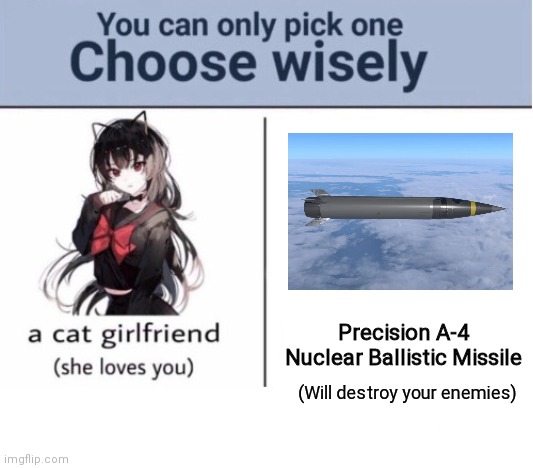Choose wisely |  Precision A-4 Nuclear Ballistic Missile; (Will destroy your enemies) | image tagged in choose wisely | made w/ Imgflip meme maker