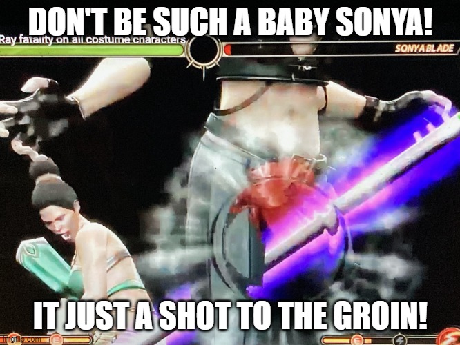 mk9 Jade X Ray Groin Meme | DON'T BE SUCH A BABY SONYA! IT JUST A SHOT TO THE GROIN! | image tagged in mk9 jade x ray groin,memes,female logic,video games | made w/ Imgflip meme maker