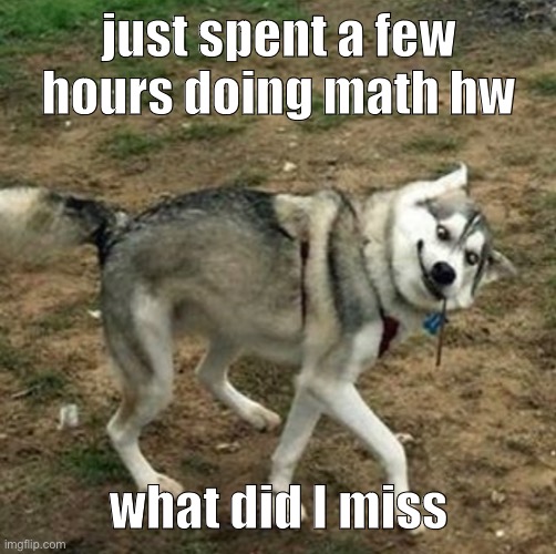 just spent a few hours doing math hw; what did I miss | made w/ Imgflip meme maker