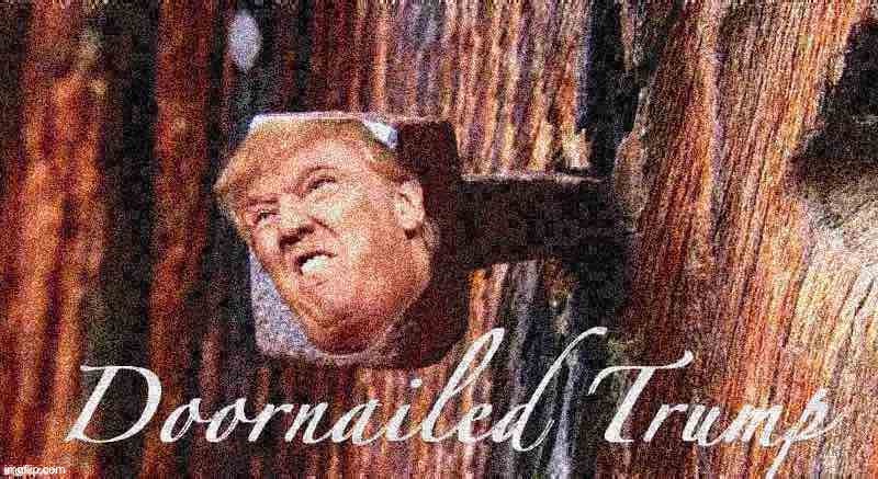 • Ah yes, doornailed Trump • | image tagged in doornailed trump deep-fried 1,donald trump,trump,doornailed,my last 3 brain cells,deep fried sloth shitposts | made w/ Imgflip meme maker