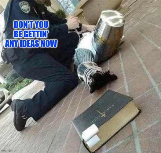 Arrested crusader reaching for book | DON'T YOU BE GETTIN' ANY IDEAS NOW | image tagged in arrested crusader reaching for book | made w/ Imgflip meme maker