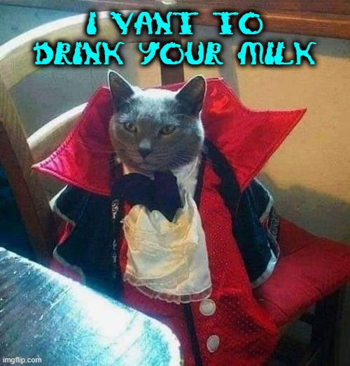 Vampire Catula | I VANT TO DRINK YOUR MILK | image tagged in cats,funny cats,halloween | made w/ Imgflip meme maker