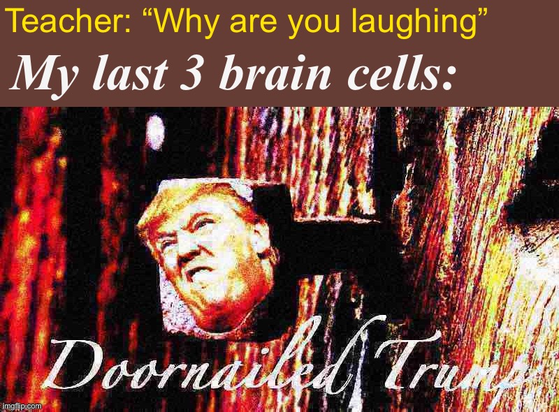 • a h y e s d o o r n a i l e d t r u m p • | Teacher: “Why are you laughing”; My last 3 brain cells: | image tagged in doornailed trump deep-fried 2,doornailed,trump,doornailed trump,my last 3 brain cells,why are you laughing | made w/ Imgflip meme maker