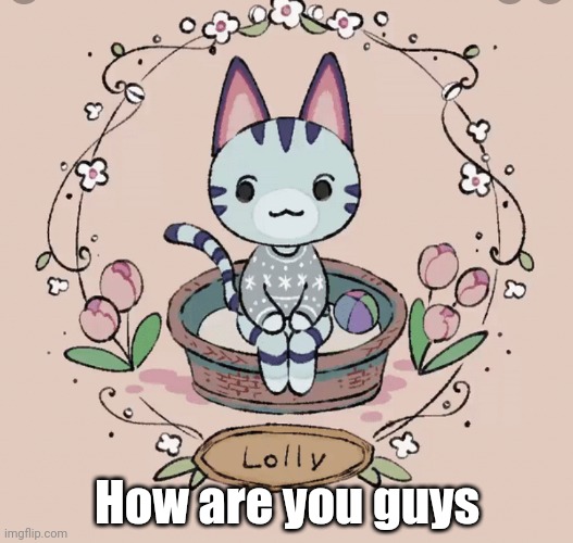 Lollys template | How are you guys | image tagged in lollys template | made w/ Imgflip meme maker