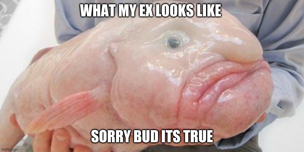 my ex | WHAT MY EX LOOKS LIKE; SORRY BUD ITS TRUE | image tagged in ppp | made w/ Imgflip meme maker