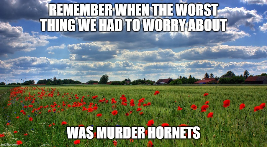 The innocent days of the murder hornets.... | REMEMBER WHEN THE WORST THING WE HAD TO WORRY ABOUT; WAS MURDER HORNETS | image tagged in murder hornets,china,russia,afghanistan,world war 3,politics | made w/ Imgflip meme maker