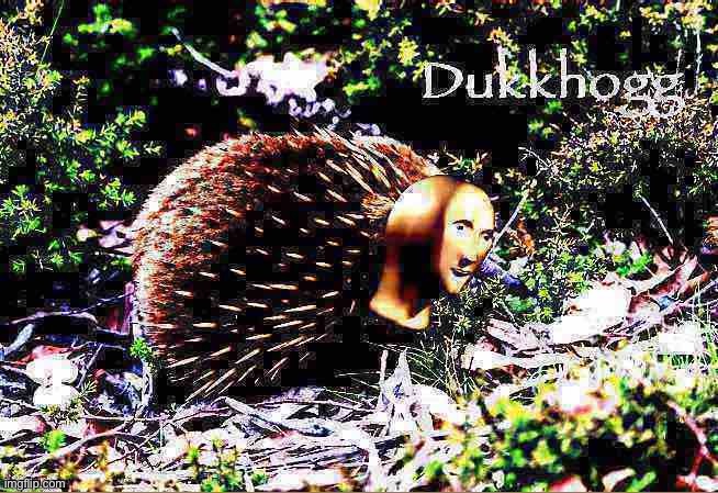 Meme man echidna deep-fried | image tagged in meme man echidna deep-fried | made w/ Imgflip meme maker