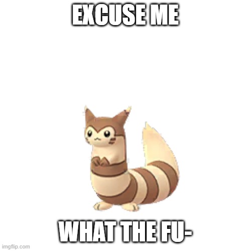 Pokemon Go furret | EXCUSE ME WHAT THE FU- | image tagged in pokemon go furret | made w/ Imgflip meme maker