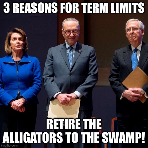 Term Limits - Because They No Longer Care About WE THE PEOPLE! | 3 REASONS FOR TERM LIMITS; RETIRE THE ALLIGATORS TO THE SWAMP! | image tagged in political meme,term limits for politicians,lifer politicians,retire politicians,inflation | made w/ Imgflip meme maker