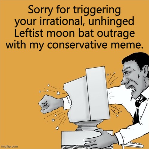 Sorry, not sorry. | Sorry for triggering your irrational, unhinged Leftist moon bat outrage
with my conservative meme. | image tagged in libtards,leftists,moonbats | made w/ Imgflip meme maker