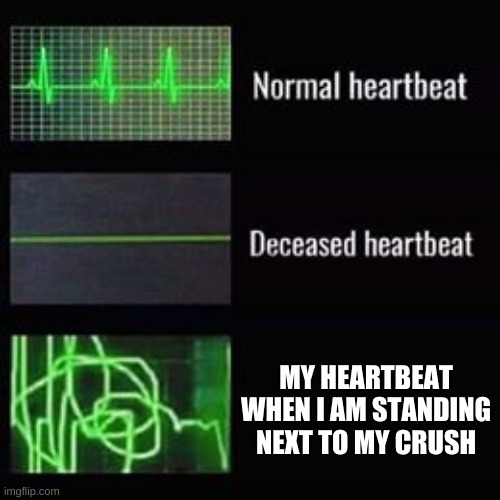 so... so... true | MY HEARTBEAT WHEN I AM STANDING NEXT TO MY CRUSH | image tagged in heartbeat rate | made w/ Imgflip meme maker