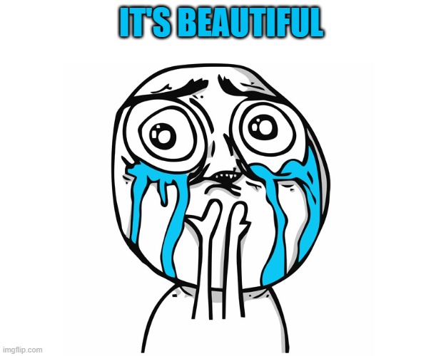 Crying Becauise It's So Beautiful | IT'S BEAUTIFUL | image tagged in crying becauise it's so beautiful | made w/ Imgflip meme maker