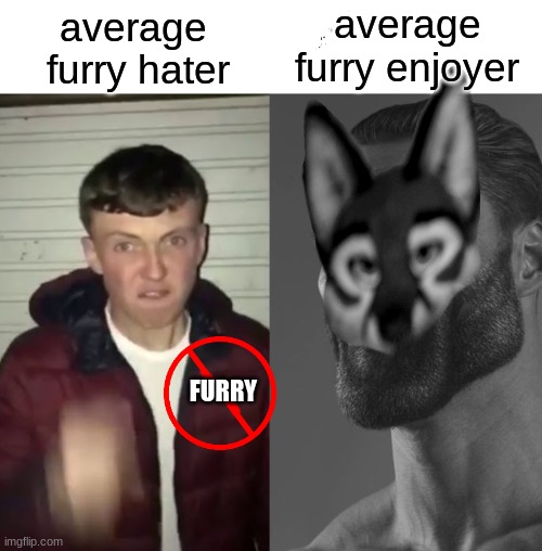 average furry hater vs average furry enjoyer | average
furry enjoyer; average 
furry hater; FURRY | image tagged in average fan vs average enjoyer,furry,hater,meme,memes | made w/ Imgflip meme maker