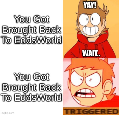 Tord Asked Edd That He Should Remove Him From Eddsworld | You Got Brought Back To EddsWorld; YAY! WAIT.. You Got Brought Back To EddsWorld | image tagged in tord reacts,eddsworld | made w/ Imgflip meme maker
