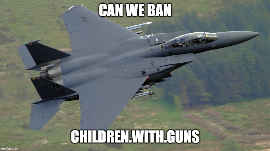 plz | CAN WE BAN; CHILDREN.WITH.GUNS | image tagged in f-15 mach loop,ban this user | made w/ Imgflip meme maker