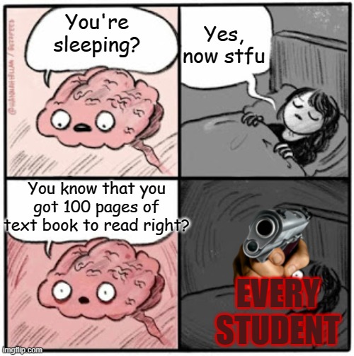 Every student ever: | Yes, now stfu; You're sleeping? You know that you got 100 pages of text book to read right? EVERY STUDENT | image tagged in brain before sleep | made w/ Imgflip meme maker