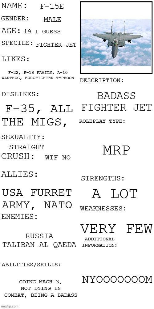 (Updated) Roleplay OC showcase | F-15E MALE 19 I GUESS FIGHTER JET F-22, F-18 FAMILY, A-10 WARTHOG, EUROFIGHTER TYPHOON F-35, ALL THE MIGS, STRAIGHT WTF NO USA FURRET ARMY,  | image tagged in updated roleplay oc showcase | made w/ Imgflip meme maker