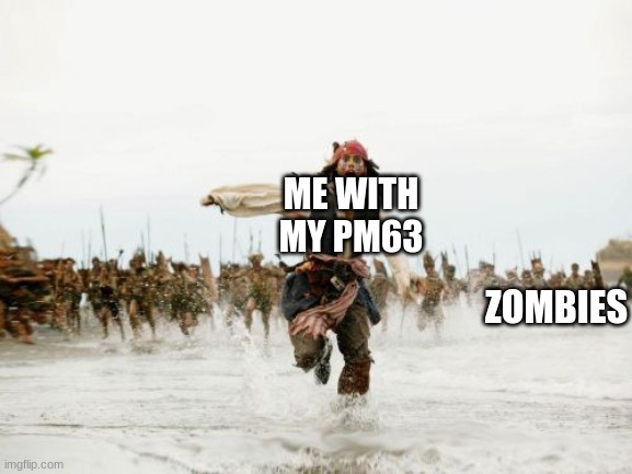 black ops zombies | ME WITH MY PM63; ZOMBIES | image tagged in memes,jack sparrow being chased | made w/ Imgflip meme maker
