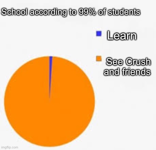 Pie Chart Meme | Learn See Crush and friends School according to 99% of students | image tagged in pie chart meme | made w/ Imgflip meme maker