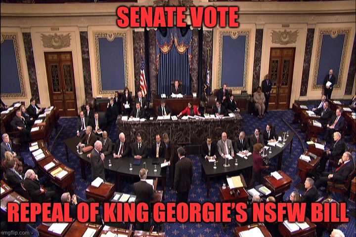 Reject King Georgie, return to Common Sense | SENATE VOTE; REPEAL OF KING GEORGIE’S NSFW BILL | image tagged in senate floor | made w/ Imgflip meme maker