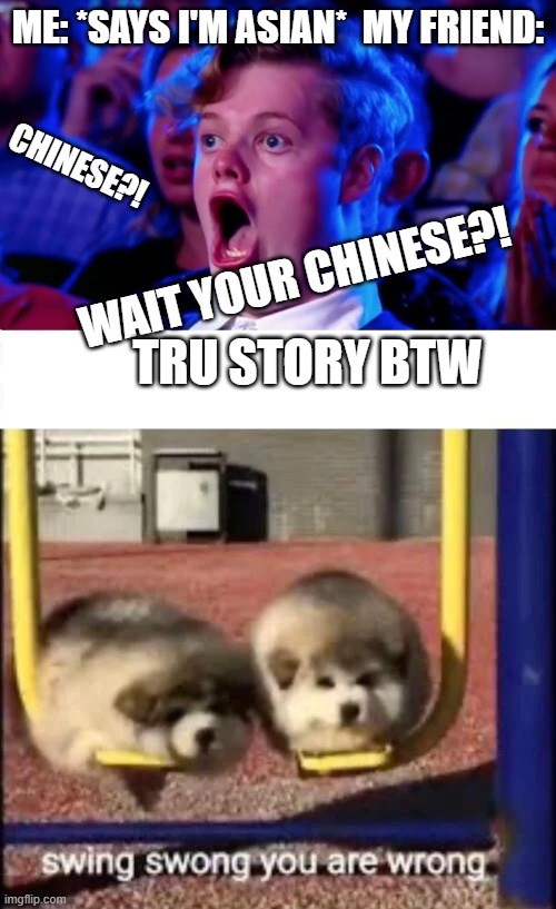 I hate when this happens | ME: *SAYS I'M ASIAN*  MY FRIEND:; CHINESE?! WAIT YOUR CHINESE?! TRU STORY BTW | image tagged in surprised open mouth,swing swong you are wrong,why,chinese,i think not,what | made w/ Imgflip meme maker