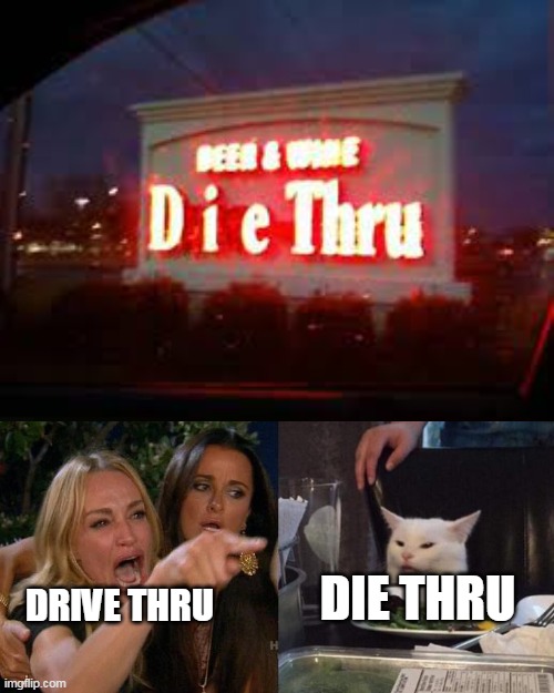 I DON'T WANNA DIE, im new to this stream |  DRIVE THRU; DIE THRU | image tagged in blank white template,memes,woman yelling at cat | made w/ Imgflip meme maker