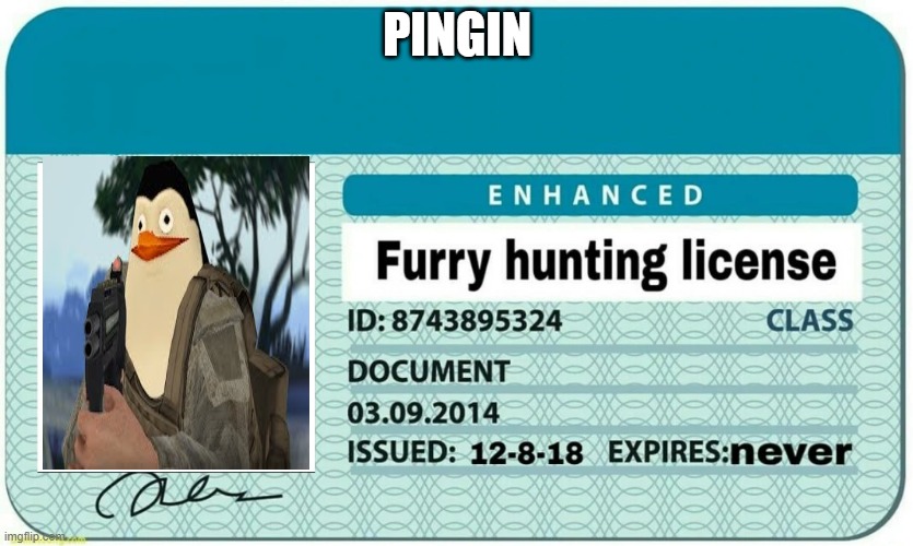 pogin | PINGIN | image tagged in furry hunting license | made w/ Imgflip meme maker