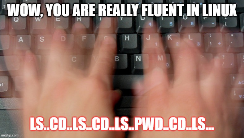 I am a Linux Pro | WOW, YOU ARE REALLY FLUENT IN LINUX; LS..CD..LS..CD..LS..PWD..CD..LS... | image tagged in typing fast hands | made w/ Imgflip meme maker