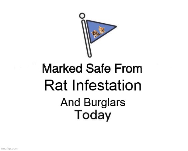 Marked Safe From | Rat Infestation; And Burglars | image tagged in memes,marked safe from,nyan | made w/ Imgflip meme maker